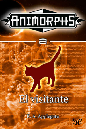 El visitante