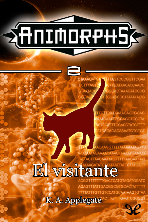 El visitante