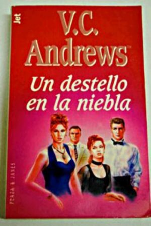 Un destello en la niebla
