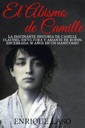 El abismo de Camille